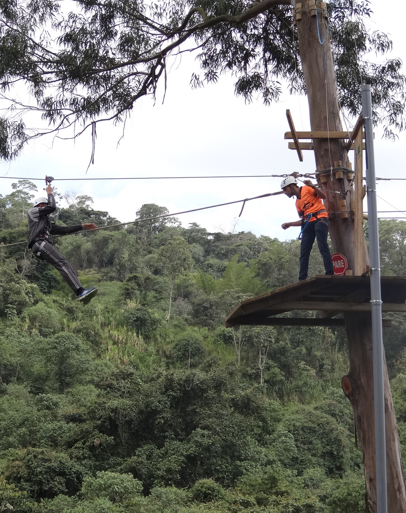 Imagen Parque de aventura en arbol